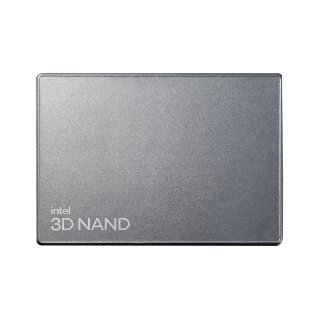 Solidigm D7 Series D7-P5520 - SSD - 3.84 TB - intern - 2.5" (6.4 cm) - U.2 PCIe 4.0 x4 (NVMe)