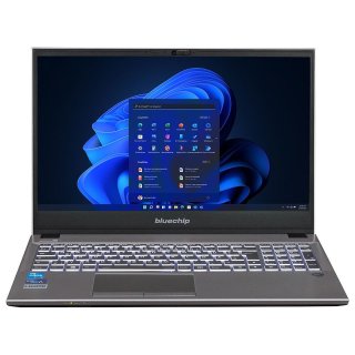 bluechip TRAVELline B15W55 Intel® Core™ i3-1315U Prozessor / bis zu 4.50 GHz, Windows 11 Pro, 15,6" non-glare IPS Panel, 1920 x 1080, 8 GB DDR4, 500 GB NVMe SSD, WLAN 802.11 ax, Bluetooth 5.3, Gigabit Ethernet, Intel® UHD Grafik, DVD±RW, Militärstandard