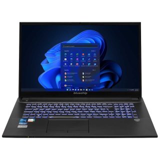 bluechip TRAVELline B17W27 Intel® Core™ i5-1335U Prozessor / bis zu 4.60 GHz, Windows 11 Pro, 17,3" non-glare IPS Panel, 1920 x 1080, 8 GB DDR4, 500 GB NVMe SSD, WLAN 802.11 ax, Bluetooth 5.3, Gigabit Ethernet, Intel® Iris® Xe Grafik, DVD±RW, Militärstan