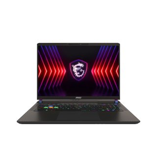 Vector 16 HX A14VIG-826, Gaming-Notebook grau, Intel® Core™ i9-14900HX, NVIDIA GeForce RTX 4090, 32 GB DDR5, 1 TB SSD, Windows 11 Home 64-Bit